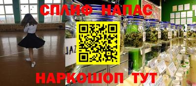 spice Дубна