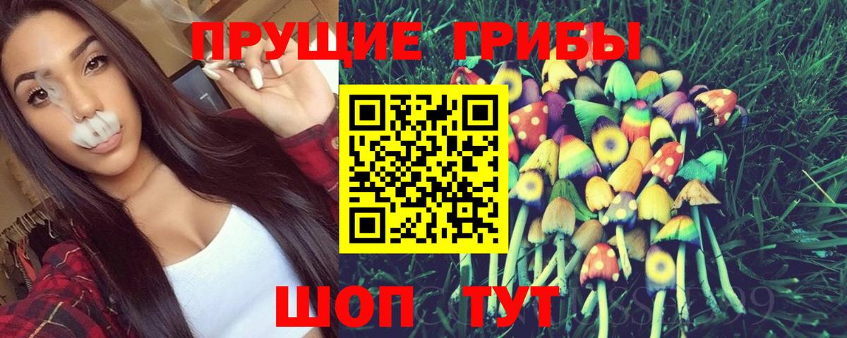 Галлюциногенные грибы Psilocybine cubensis  Вход с VPN  Майкоп  Псилоцибиновые грибы Psilocybine cubensis 